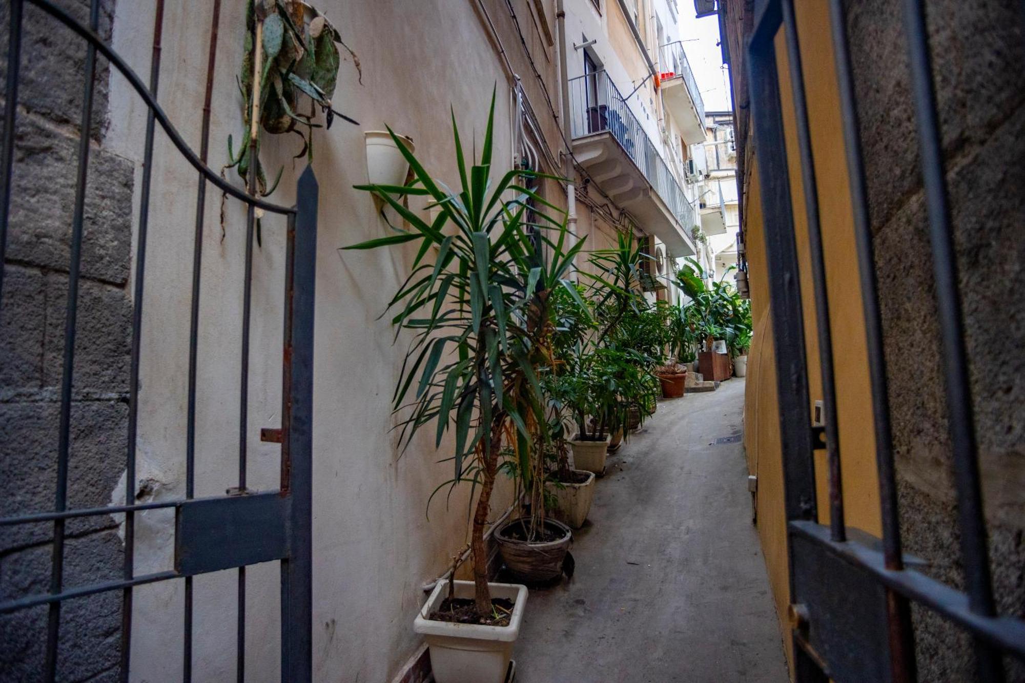Katane' Room'S كاتانيا المظهر الخارجي الصورة