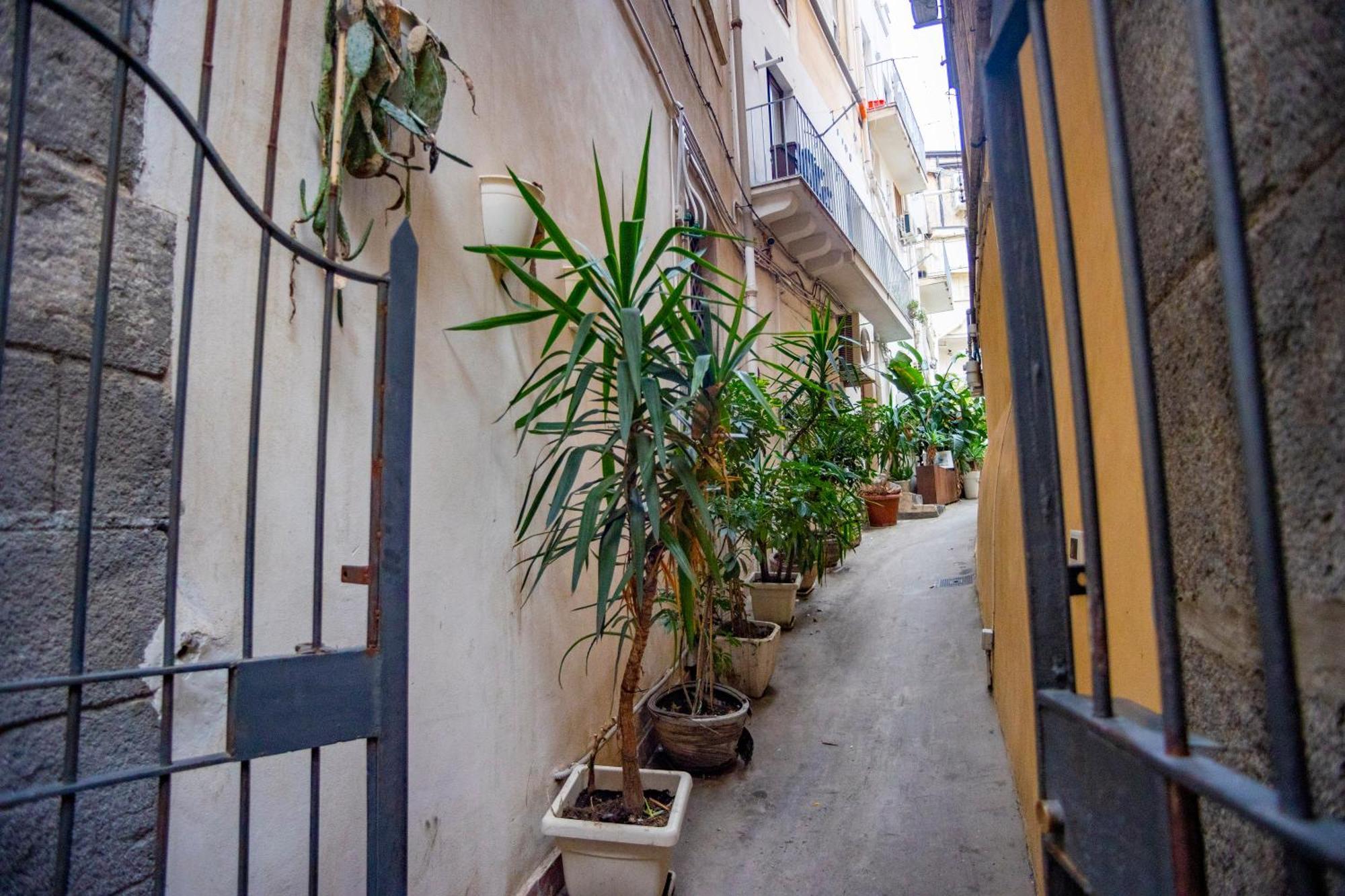 Katane' Room'S كاتانيا المظهر الخارجي الصورة